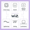 Philips Smart Light Bulb LED Globe Filament Screw E27 Full Colour & Warm/Cool Spectrum 40W image 10