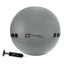 Capelli Sport Ballon d'exercice 65 cm, ballon de yoga, ballon de fitness, ballon d'équilibre et de stabilité, ballon de grossesse, ballon de gym pour le renforcement du tronc, rééducation physique, chaise de bureau à ballon de yoga, antidérapant et anti-éclatement image 0