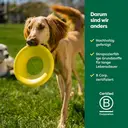 Earth Rated flyer - 18 x 3 x 18 cm image 4