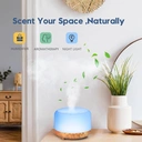 MOOST 2290 Essential Oil Diffuser, 500ML Aromatherapy Diffuser & Humidifier for Home with Timer, Quiet Mist Output, Remote Control, BPA-Free image 4