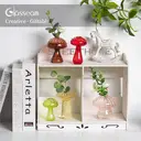 5 PCS Mushroom Shaped Vase, Planters Clear Hydroponic Vase, Flowers Plants for Decorative Centerpiece,Table Decor,Home Wedding Party (5 Color) image 4