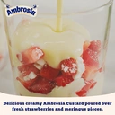 Ambrosia Devon Custard 1kg image 5