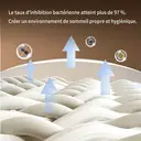 ochama x J.ZAO Parure de Lit 4 Pièces en Coton à Longues Fibres 100 Count, Satin de Coton Premium pour Lit 1.8m, Housse de Couette 220x240cm, Éclat Élégant et Confort Absolu, Champagne Gris Argenté image 6