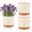 MADLAND Lot de 3 pots de fleurs auto-arrosants avec soucoupe beige - Diamètre 16,5 cm image 0