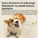 Blinkit Jouet de dentition pour chien en cuir de vachette et nylon  image 4