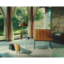 PETLIBRO Polar Smart Wet Food Feeder – App-Controlled, Cooled, Black image 5