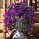 Yuejia Lot de 4 bouquets suspendus de fleurs artificielles en soie liseron violet - 75 cm image 7