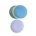 Home Use Compact & Portable 10-Inch Flat Dinner Plates, Set of 4, Plastic Material image 0