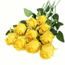 Yuejia 10Pcs 19.68in/50cmArtificial Rose，Realistic Bouquet of Long stemmed False Silk Roses，Simulated Rose，Suitable for Wedding Photography Props Furniture Decoration(yellow) image 6