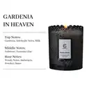 Zooly Bougie parfumée à bordure dentelée senteur Heavenly Gardenia - 200 g image 1