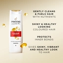 Pantene Pro-V Colour Protect Shampoo 325ml image 1