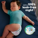 Pampers Baby-Dry Size 4 84 Pack Jumbo+ Pack image 2
