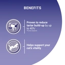 Purina ONE Adult Cat Food with Chicken & Whole Grains 3kg image 5