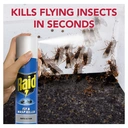 Raid Rapid Action Wasp, Mosquito & Fly Killer Aerosol Spray 300ml image 1