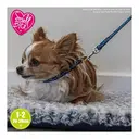 Ancol Puppy Collar and Lead Set Stars Blue image 1