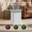 ELECCI 60L/D Dehumidifiers with Purification, 6.2L Water Tank, Auto Defrost, 24H Timer, R290, Continuous Drainage with Drain Hose, Ideal for 120m² Rooms. image 2