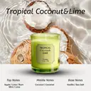 Zooly Bougie parfumée Amber Time - Noix de coco tropicale et citron vert (Vert), 100 g, 1 pièce image 1