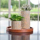 Terni Planter Mustard D14Cm H26Cm image 3