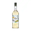 GIFFARD Sirop gingembre - 1 L image 0
