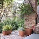 DEROMA Origin Cotto pot de fleurs 50 cm image 4