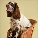 Rosewood x Joules Sandshell Raincoat for Medium Dogs image 1