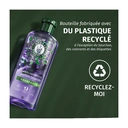 Herbal Essences Anti-frisottis Shampooing lavande - 250 ml image 3