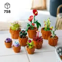 LEGO Botanicals 10329 Les plantes miniatures image 1
