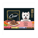 Cesar Deliciously Fresh Dog Food Pouches Mixed Selection in Sauce 12x100g image 3