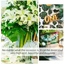 66pcs 15.3in/38.8cm
Artificial Palm Leaves Tropical Fake Leaves, Monstera Leaf Gold and Green Faux Leaves for Safari Jungle Hawaiian Dinosaur Luau Party Table Decoration image 7