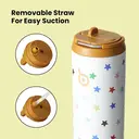 Bottle Bottle 700ml Stainless Steel Insulated Sports Water Bottle with Straw, Lid & Handle (Stellar Pop) image 1