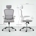 HOMCOM Ergonomic Office Chair, High Back Mesh Computer Desk Chair with Adjustable Headrest and Lumbar Support, Flip-up Armrests for Home Office, Grey image 2
