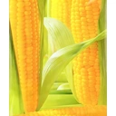 Nongsao Maïs cireux jaune, 6 pièces - 1,32 kg  image 3