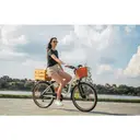 DYU City Elektrische Fiets DYU C6 PRO 26-inch, Wit image 9