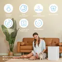 Midea Seasonal Dehumidifier – 10L Extraction, Humidity Control, Continuous Drain Option, White – MDDQ-10DEN7-QA3 image 4