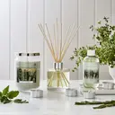 Wax Lyrical Reed Diffuser Colony Herb Garden 200ml image 2