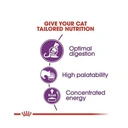 ROYAL CANIN Sensitive 33 Chat digestion sensible 2 kg image 2