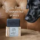 Little Beast Smelly Dog Shampoo Bar 100g image 5