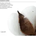 The Lab Co. Luxury Scented Candle | 20hrs Burn Time | Relaxing Fragrance with Cotton, Lavender and Jasmine | 100% Vegan Soy Wax | 90g wax weight image 5