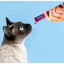 [Congelez-le pour une glace pour chat !] Vitakraft Snack liquide canard avec bêta-glucanes friandises pour chat - 6 x 15 g image 3
