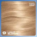 Clairol Lasting Colour Permanent Colour Hair Dye 9 Light Blonde 1 Pack image 5