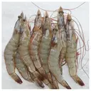ECUAGOLD HOSO Frozen Raw Shrimp (L - 30/40) 1kg image 3