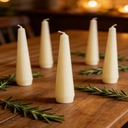 Nutmeg Home Tapered Candles Ivory 10 Piece image 1