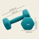 ochamaxsongmics  Neoprene Dumbbells Set - 2 x 1 kg, 2 x 2 kg, 2 x 3 kg, for Workout, with Stand Lime, Teal, and Light Grey  image 2
