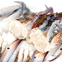 ESSENTIAL ROYAL STAR Half Cut Raw Blue Swimming Crab (U10) 1kg image 2