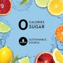 ICELANDIC GLACIAL Sicilian Lemon Sparkling Mineral Water - Can 10 x 330ml image 2