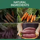 MeatyWay Friandises pour chien emballées individuellement, poulet et légumes, riche en protéines, faible en matières grasses, poulet 100 % naturel, légumes sains et naturels (carotte et patate douce) pour l’entraînement du chien, 300 g/10,58 oz (Lot de 3) image 5