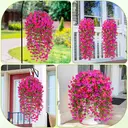 4Pcs 30in/76cm
Artificial Flowers for Outdoors, Fake Artificial Hanging Flowers for Outdoors Realistic Hanging Flowers Silk Petunia Faux Flowers for Porch Patio(fuchsia&rose red) image 7