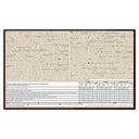 Magnum Mini Ice Cream Sticks 10 x 55ml image 1