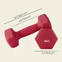 ochamaxsongmics  Set of 2 Dumbbells, 2 x 4 kg Hand Weights with Neoprene Coating, Hexagonal Dumbbells Pair, Home Workout, Fitness Training Exercise, Ruby Red SYL908R01 image 2