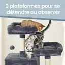 SONGMICS Arbre à chat hauteur 206 cm avec 13 griffoirs, 2 plateformes, 2 niches et panier, hamac, pompon - Gris anthracite image 4